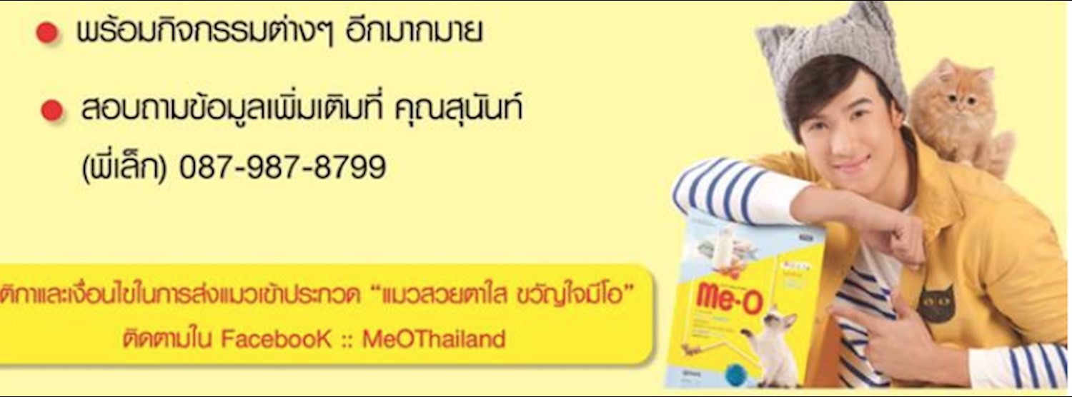 Me-O presents Thailand Meo-W Lover ตอน Me-O Show Time Zipevent