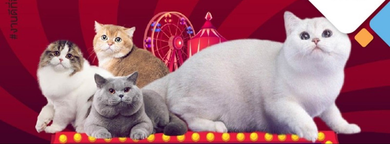 SEACON INTERNATIONAL CAT SHOW Zipevent