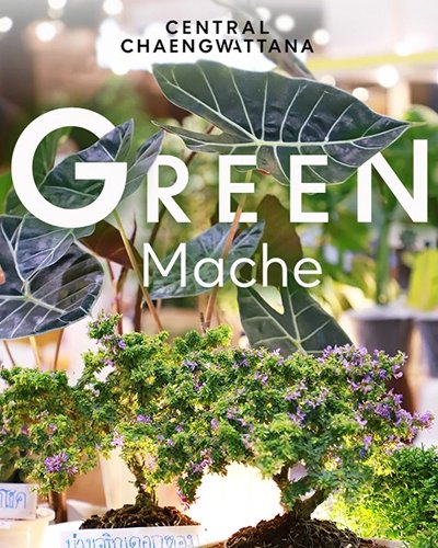 GREEN MACHE Zipevent