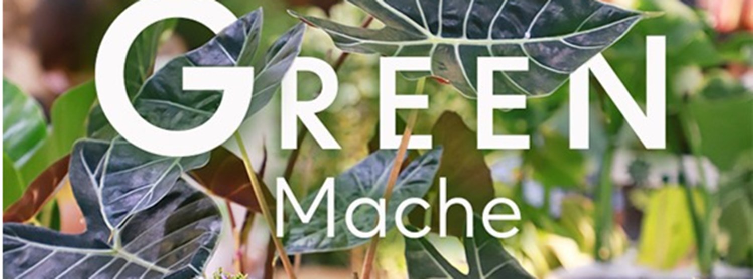 GREEN MACHE Zipevent