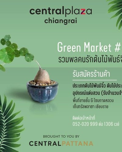 Green Market ครั้งที่ 3 Zipevent