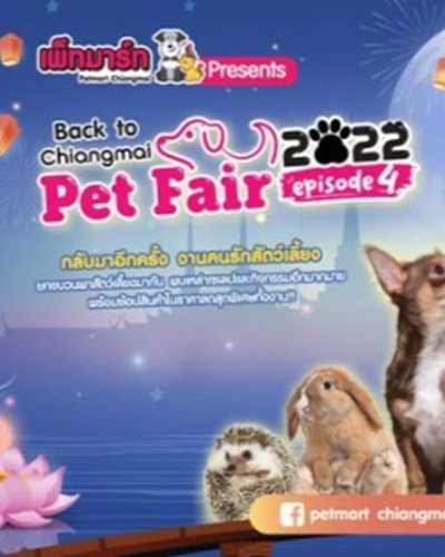 Chiangmai Pet Fair 2022 ครั้งที่ 4 Zipevent