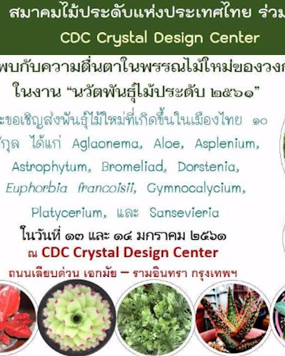 นวัตพันธุ์ไม้ประดับ ๒๕๖๑ Zipevent