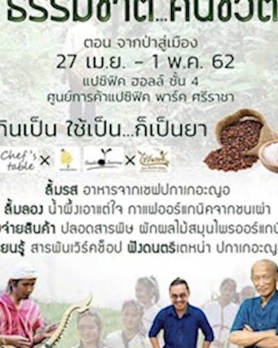 ธรรมชาติ...คืนชีวิต ตอน จากป่าสู่เมือง Zipevent