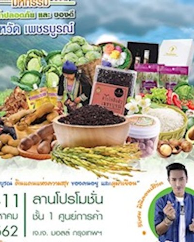 มหกรรมสินค้าปลอดภัย และของดีจังหวัดเพชรบูรณ์ Zipevent