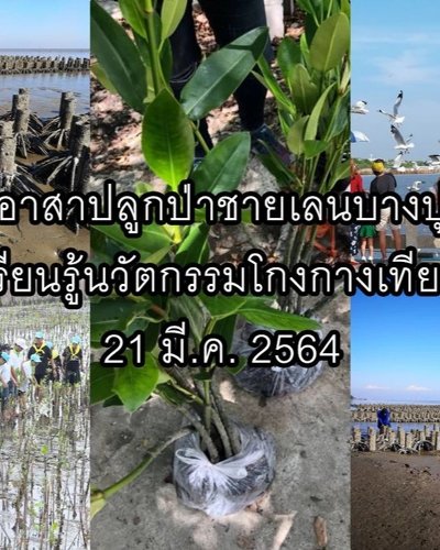 อาสาปลูกป่าชายเลนบางปู เรียนรู้นวัตกรรมโกงกางเทียม รุ่น 3 Zipevent
