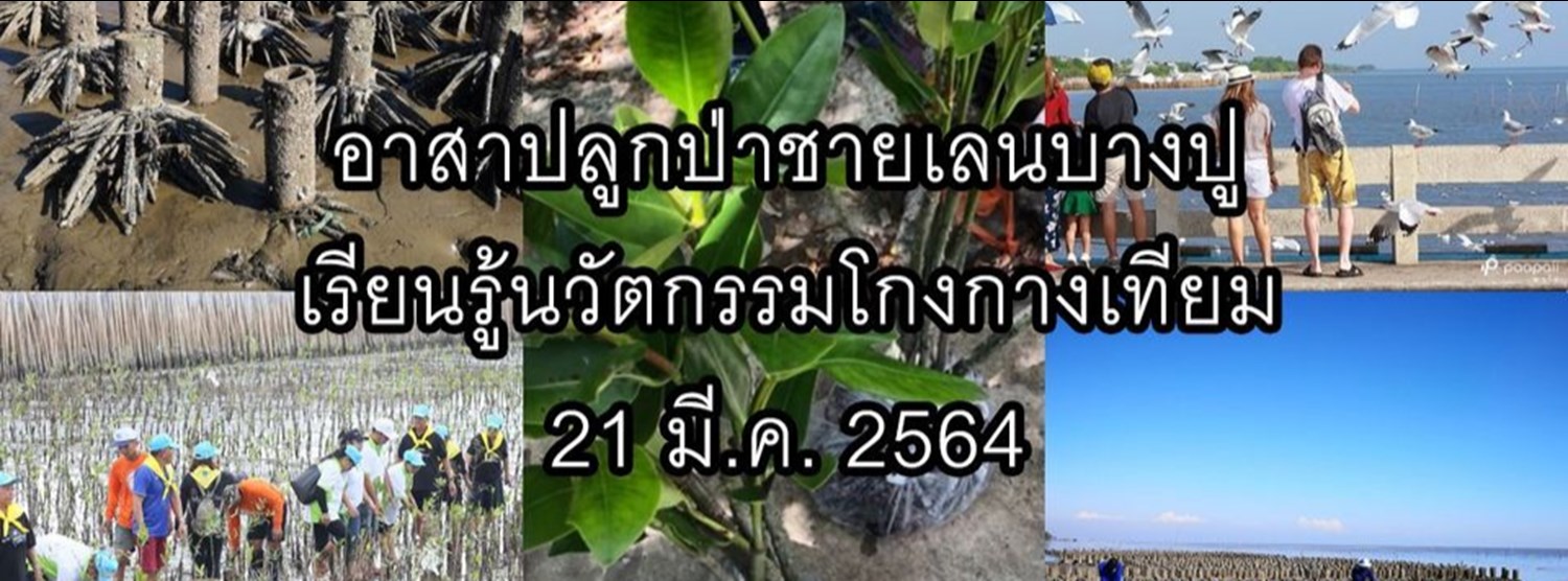 อาสาปลูกป่าชายเลนบางปู เรียนรู้นวัตกรรมโกงกางเทียม รุ่น 3 Zipevent