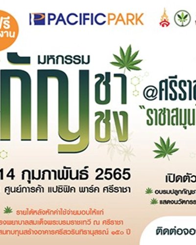 มหกรรมกัญชา กัญชง @ศรีราชา ราชาสมุนไพร Zipevent