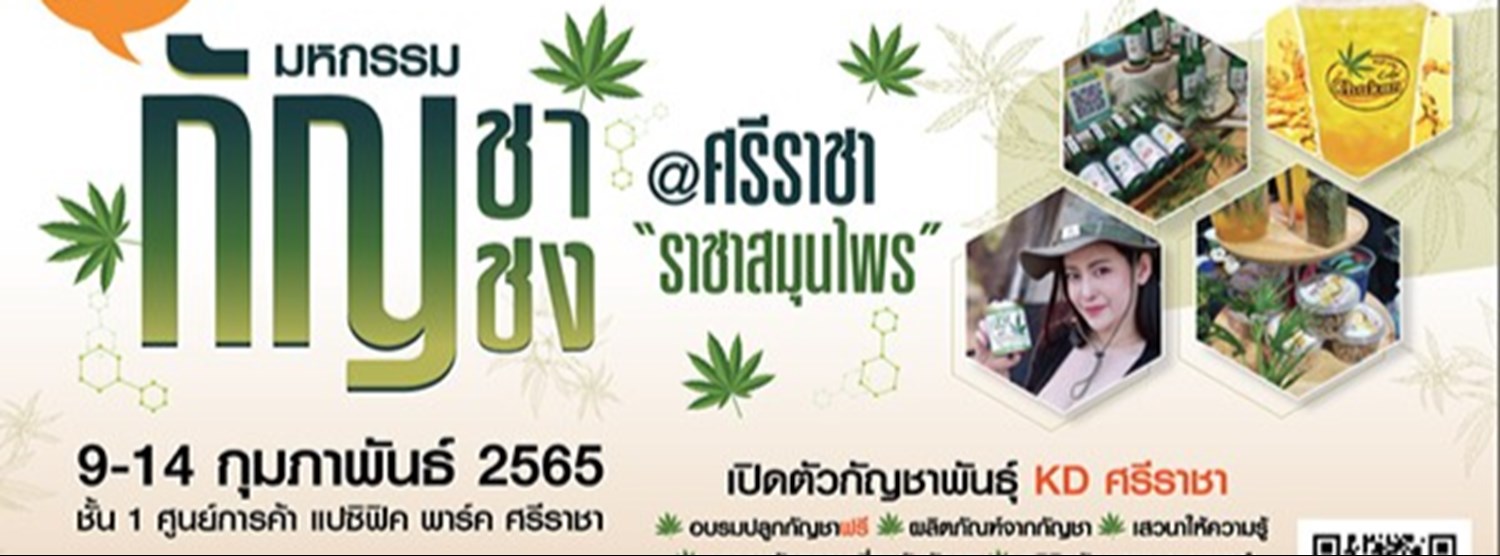 มหกรรมกัญชา กัญชง @ศรีราชา ราชาสมุนไพร Zipevent