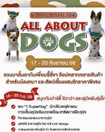  All About Dogs  Zipevent