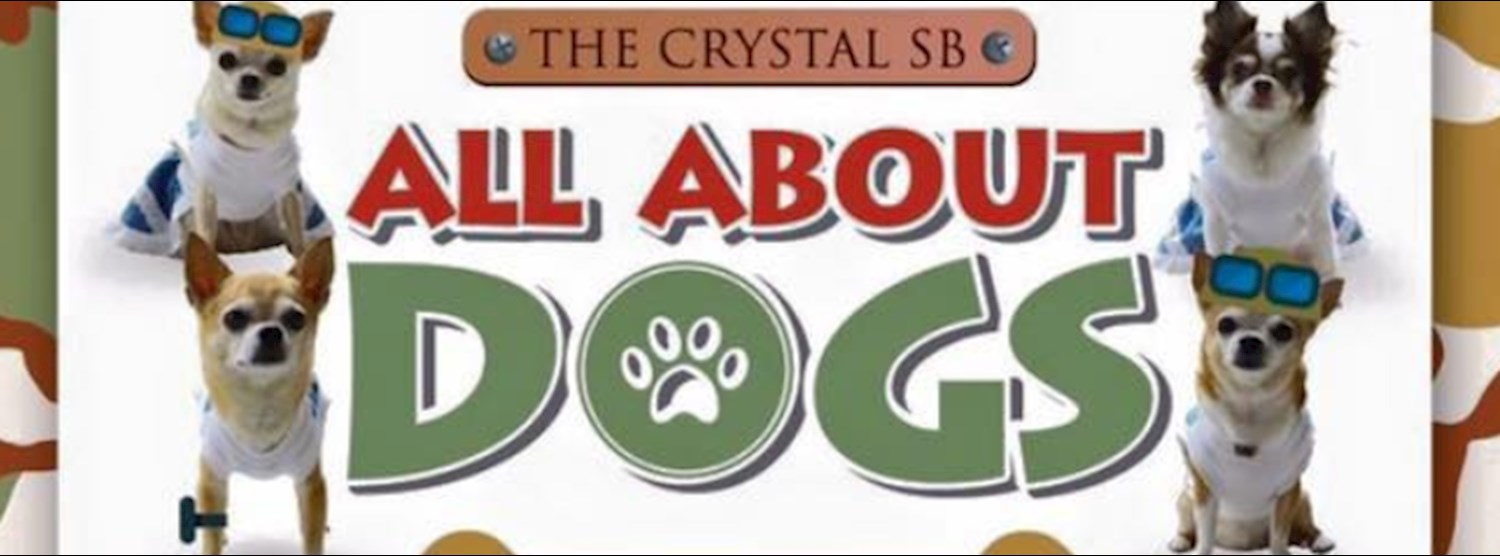  All About Dogs  Zipevent