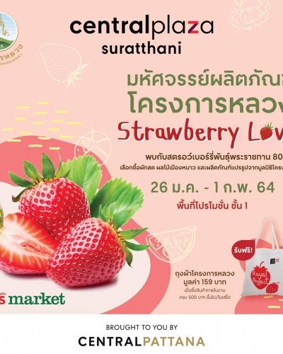 มหัศจรรย์ผลิตภัณฑ์โครงการหลวง : Strawberry Lover Zipevent