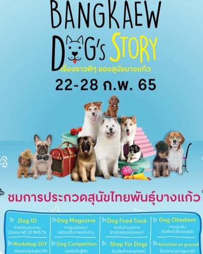 Bangkaew Dog Story Zipevent
