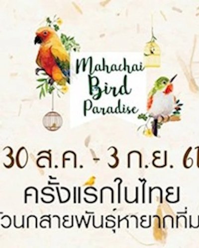 Mahachai Bird Paradise Zipevent