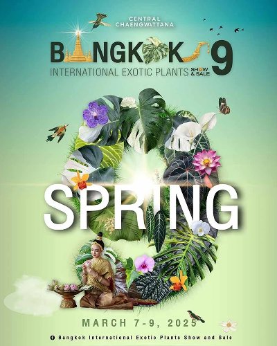 Bangkok International Exotic Plant Show and Sale 9 Zipevent