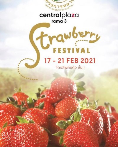 ROYAL PROJECT "Strawberry FESTIVAL" Zipevent