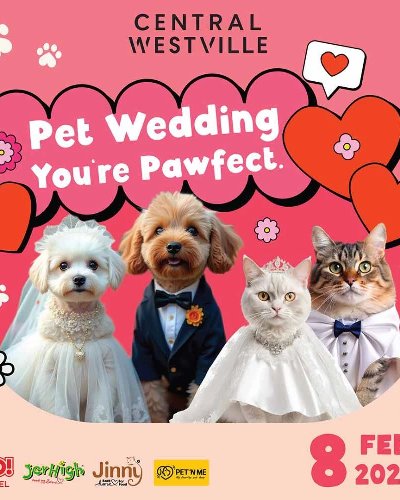 Pet Wedding You're Pawfect Zipevent