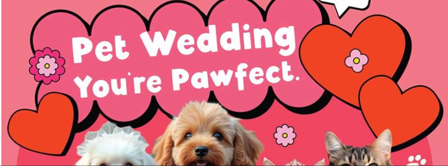Pet Wedding You're Pawfect Zipevent