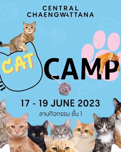 CAT CAMP Zipevent
