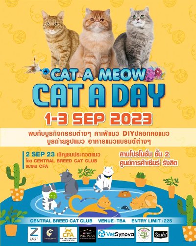 Cat A Meow Cat A Day 2023 Zipevent