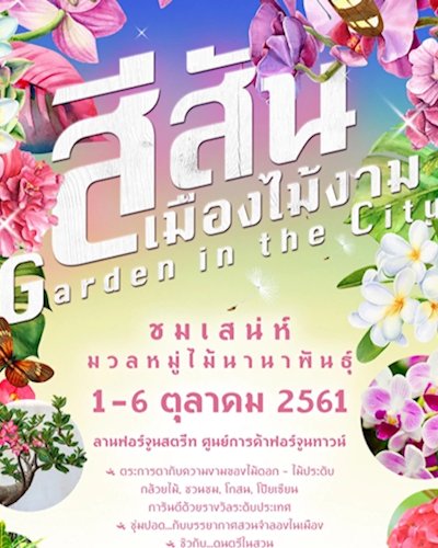 สีสันเมืองไม้งาม Garden in the City Zipevent