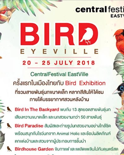 Bird Eye Ville Zipevent