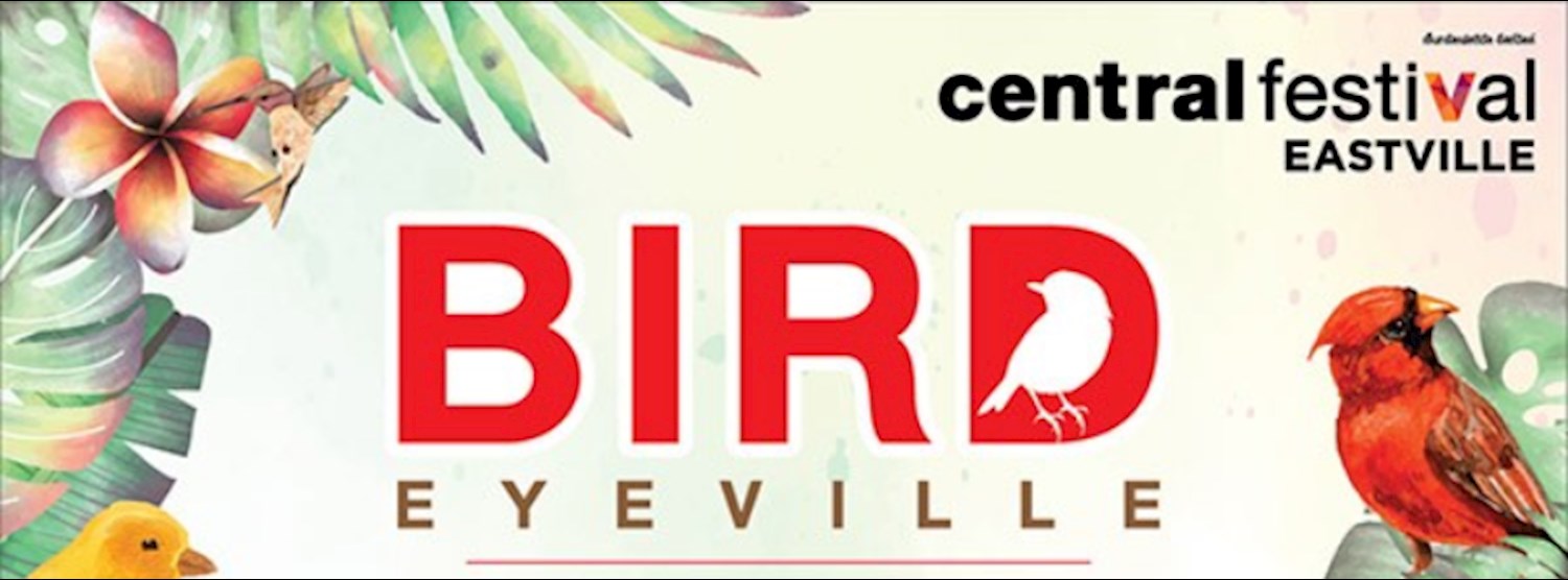 Bird Eye Ville Zipevent