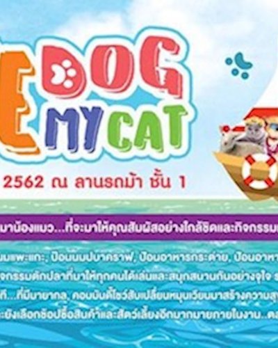 Amazing Pet 2019 - Love Dog My Cat Zipevent