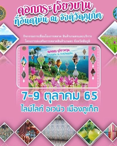 สินค้า OTOP ส่งตรงจากชัยภูมิ ดอกกระเจียวบานที่อันดามัน Zipevent