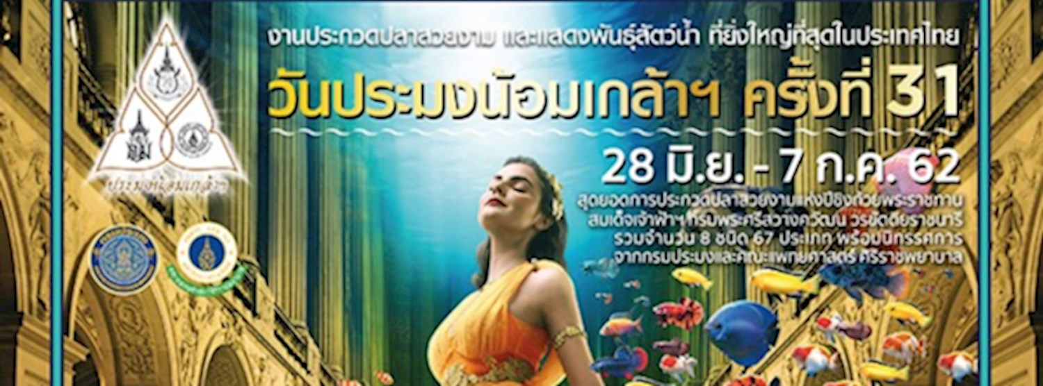 วันประมงน้อมเกล้าฯ ครั้งที่ 31 Zipevent