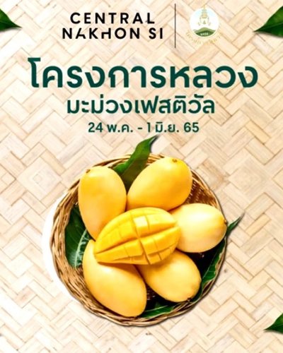 มะม่วงเฟสติวัล Zipevent
