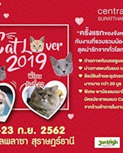 Cat Lover 2019 Zipevent