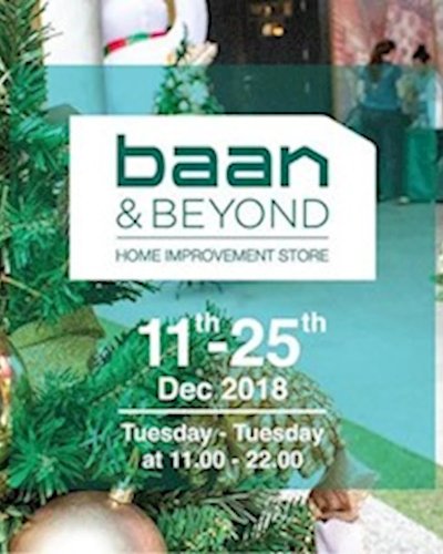 Baan & Beyond Zipevent