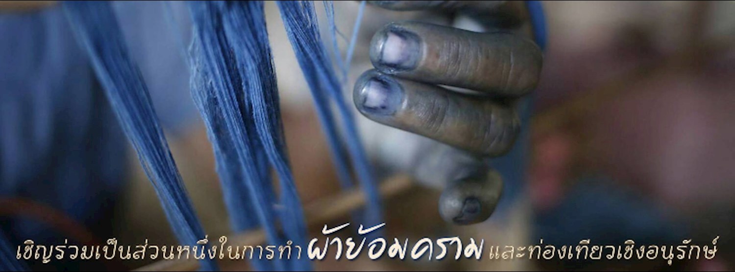 กิจกรรมท่องเที่ยวเชิงอนุรักษ์ Zipevent