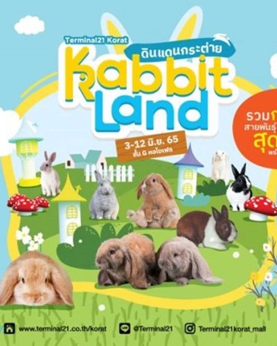 Rabbit Land ดินแดนกระต่าย Zipevent