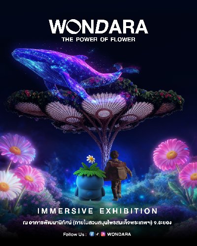 WONDARA EXHIBITION Zipevent