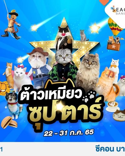 ต้าวเหมียวซุป'ตาร์ Zipevent