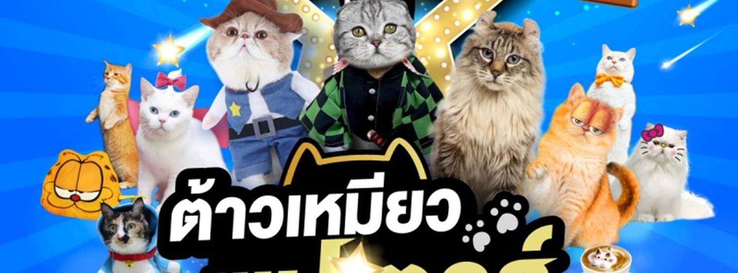 ต้าวเหมียวซุป'ตาร์ Zipevent