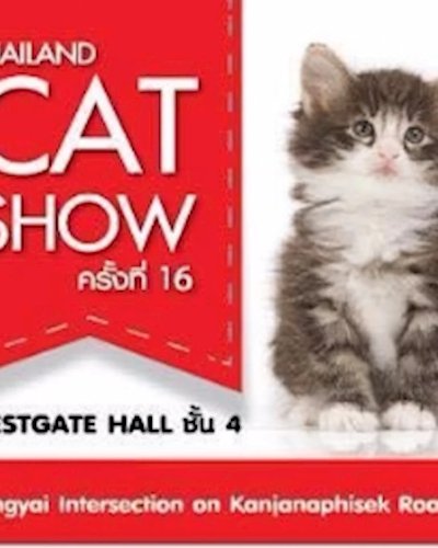 Thailand Cat Show ครั้งที่ 16 Zipevent