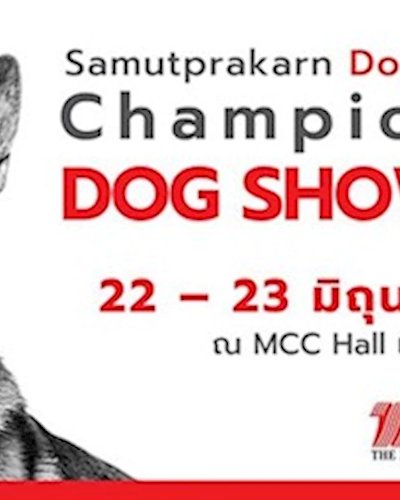 Samutprakarn Dog Lover Club Championship Dog Show 2019 Zipevent