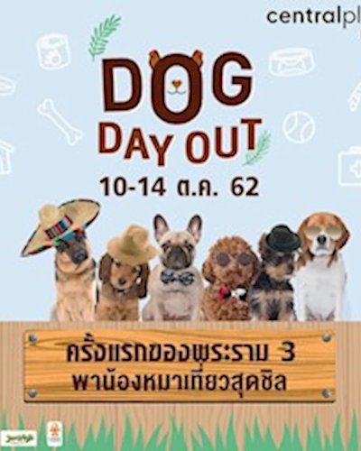 Dog Day Out Zipevent