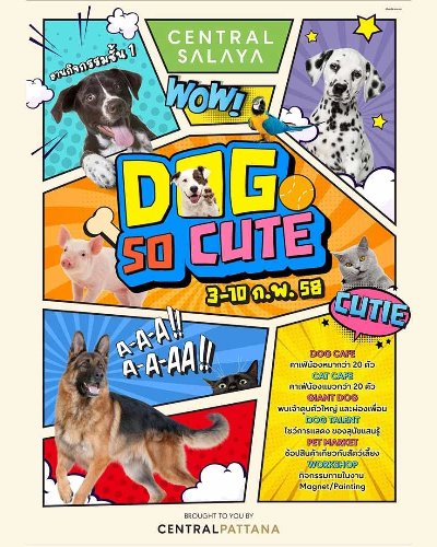 Dog So Cute Zipevent