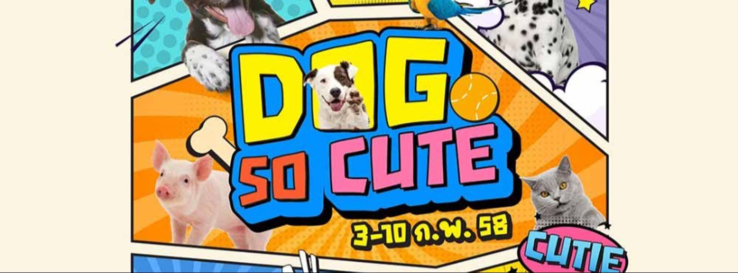 Dog So Cute Zipevent