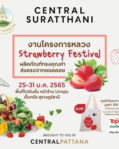 โครงการหลวง : Strawberry Festival Zipevent