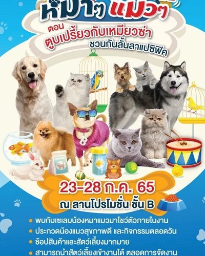 หมาๆ แมวๆ 2022 Zipevent