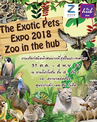 Exotic Pets Expo 2018 : Zoo in The Hub Zipevent