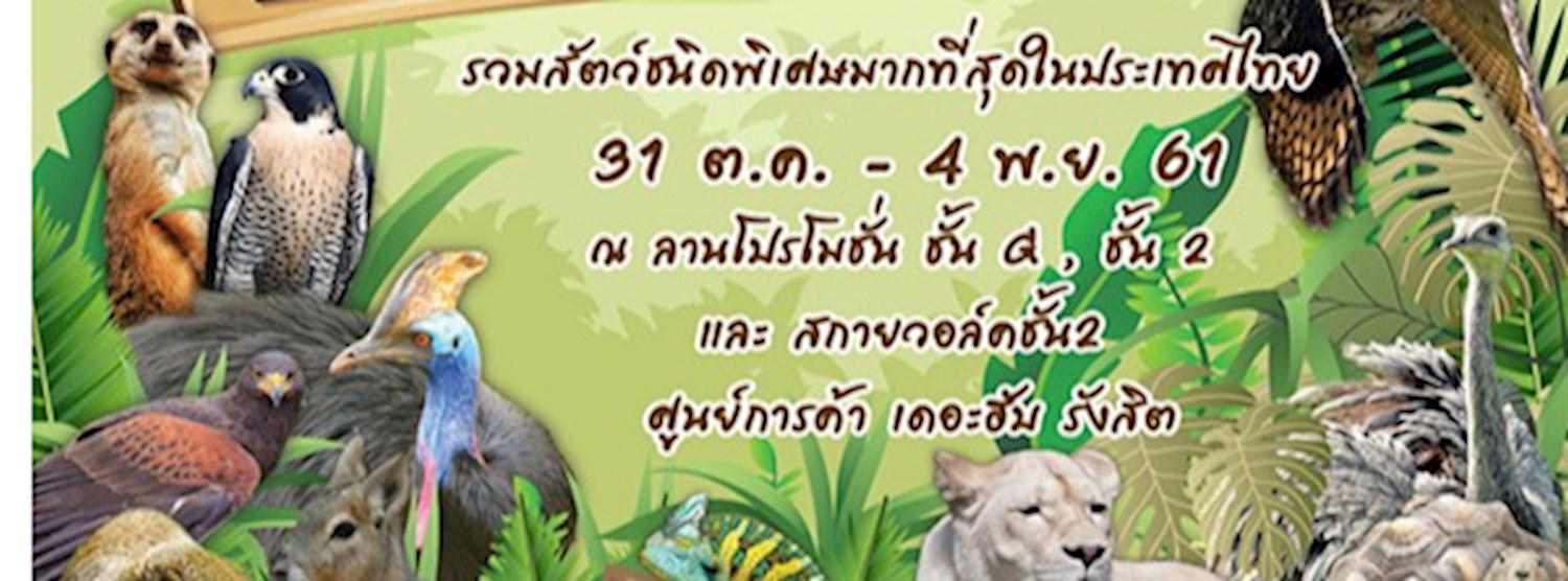 Exotic Pets Expo 2018 : Zoo in The Hub Zipevent