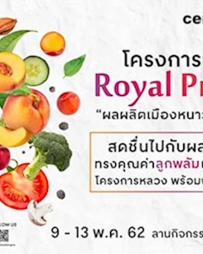Royal Project 2019 "ผลผลิตเมืองหนาว ถิ่นชาวเขา" Zipevent