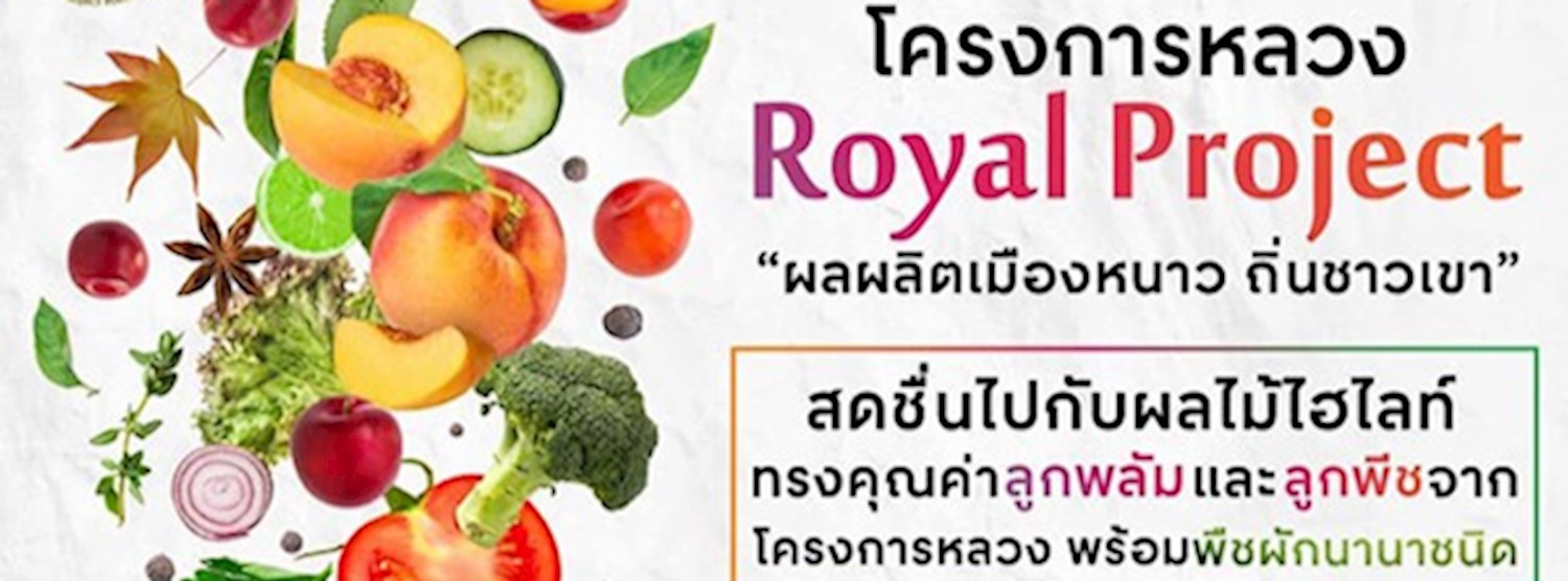 Royal Project 2019 "ผลผลิตเมืองหนาว ถิ่นชาวเขา" Zipevent