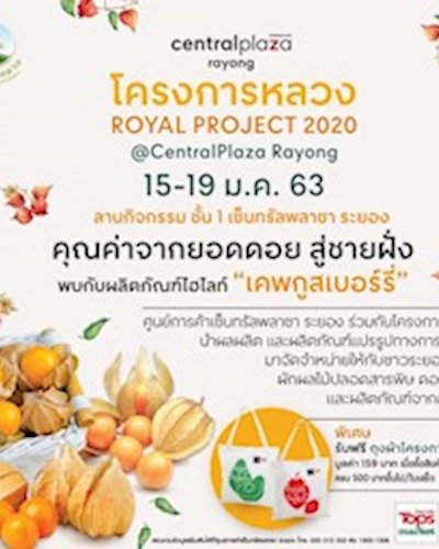 ROYAL PROJECT 2020 Zipevent